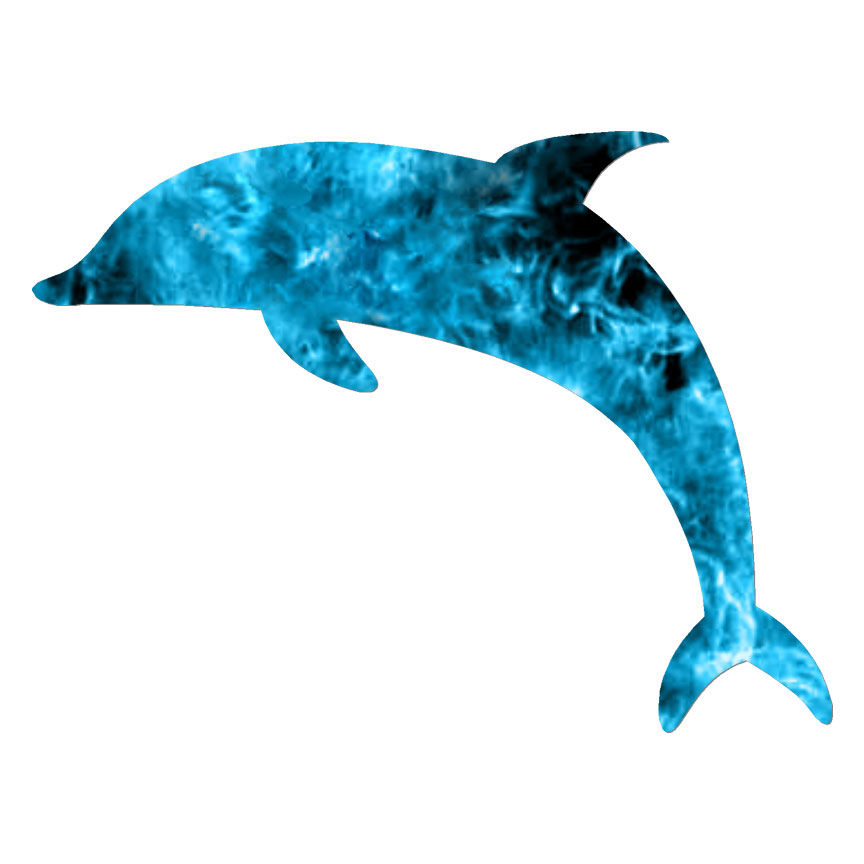 Dolphin Bottlenose, Vinyl Decal Sticker, 40 Patterns & 3 Sizes, #6611