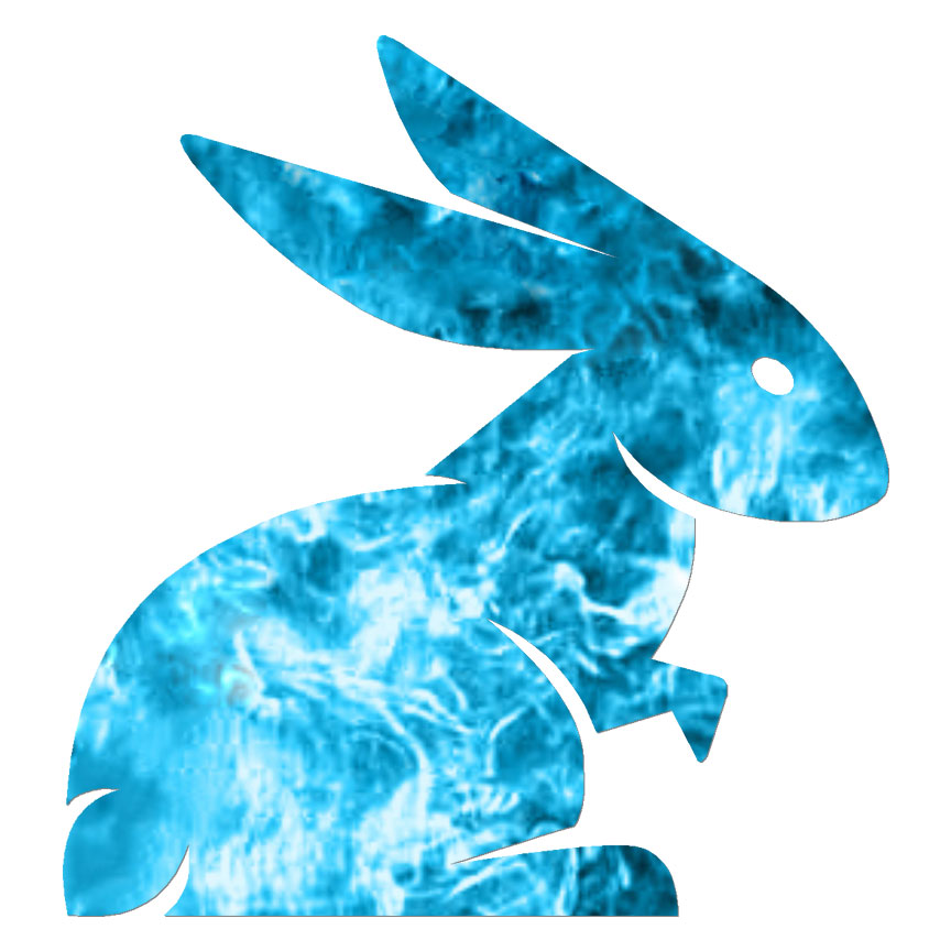 Bunny Rabbit, Vinyl Decal Sticker, 40 Patterns & 3 Sizes, #6617 | eBay