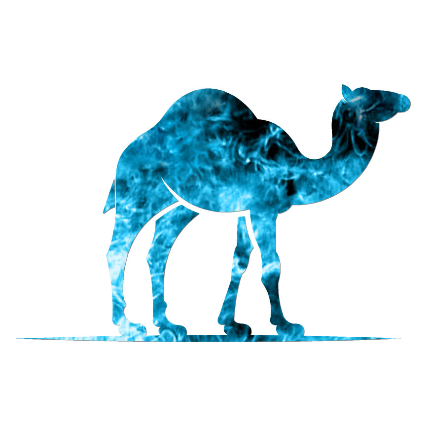 Camel, Vinyl Decal Sticker, 40 Patterns & 3 Sizes, #6618