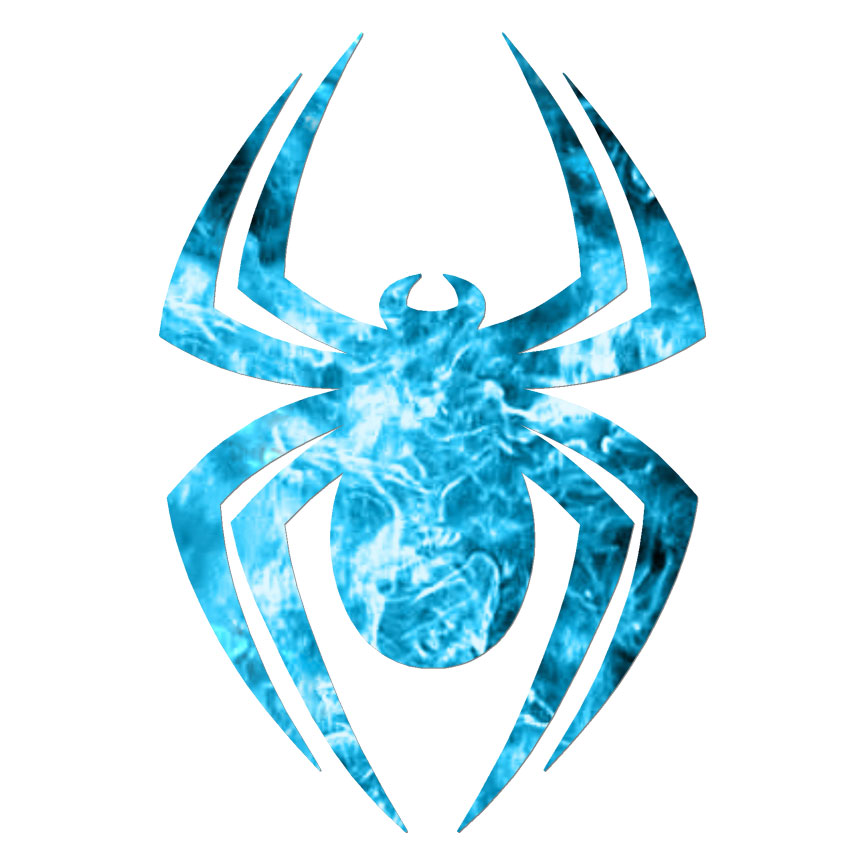 Spider Insect Arachnid, Vinyl Decal Sticker, 40 Patterns & 3 Sizes, #6683