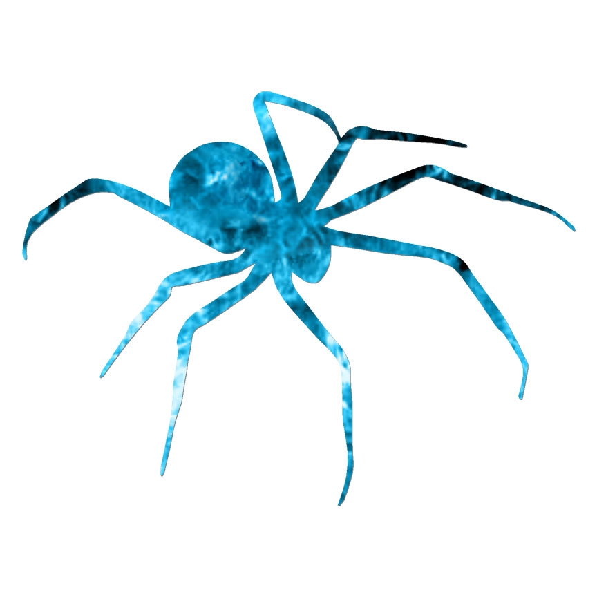 Spider Arachnid, Vinyl Decal Sticker, 40 Patterns & 3 Sizes, #6689