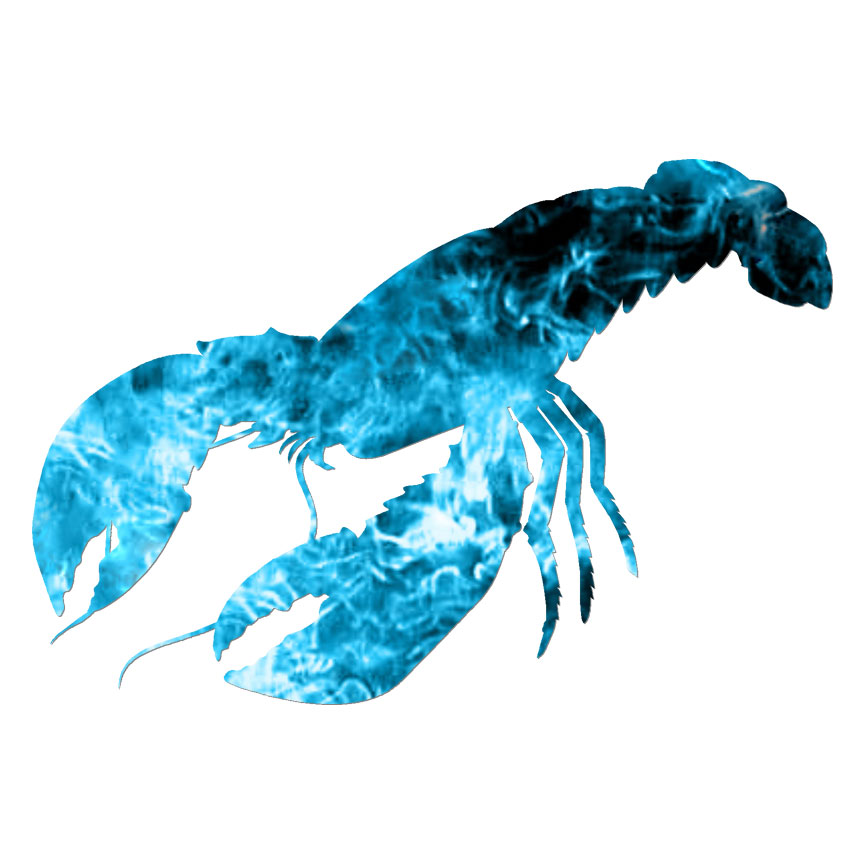 Crustacean Lobster , Vinyl Decal Sticker, 40 Patterns & 3 Sizes, #6768