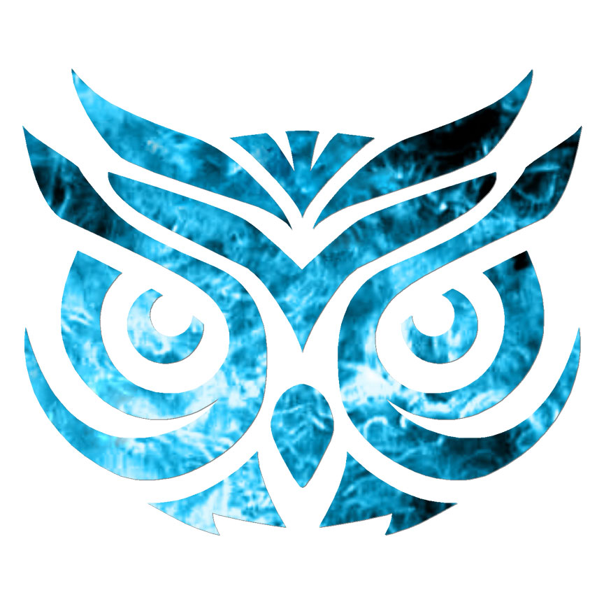 Owl Head, Vinyl Decal Sticker, 40 Patterns & 3 Sizes, #6770