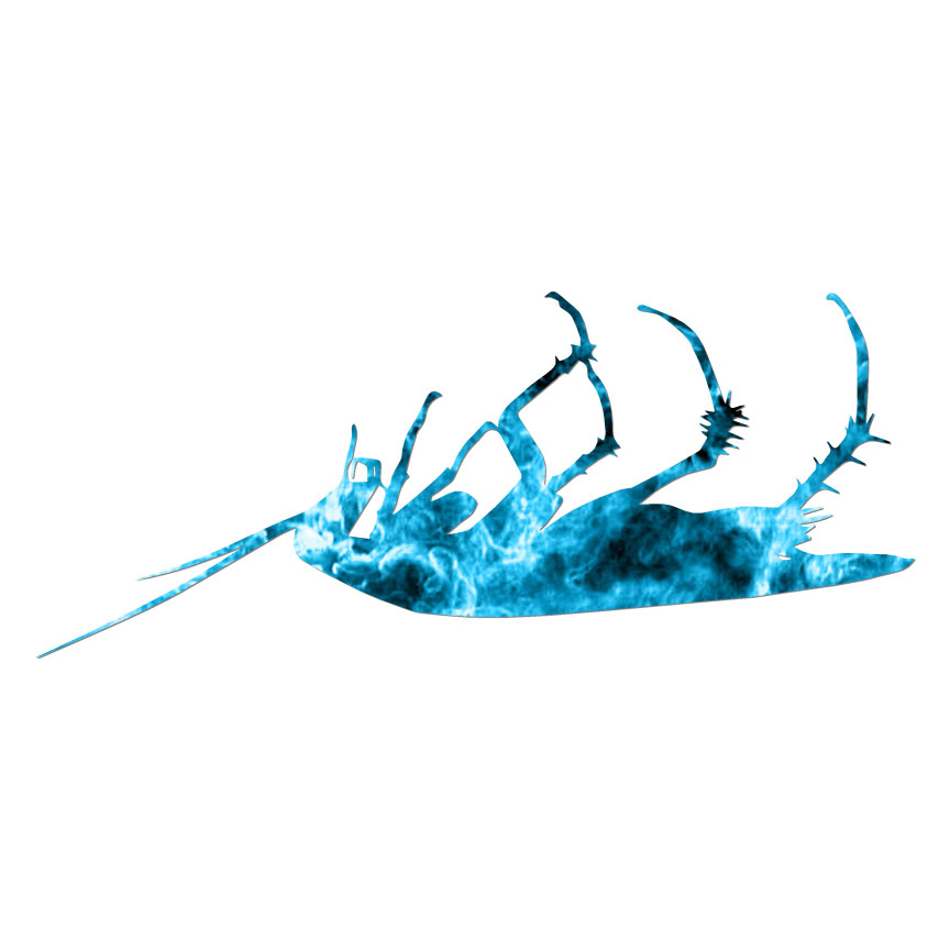 Dead Roach Cockroach, Vinyl Decal Sticker, 40 Patterns & 3 Sizes, #6771