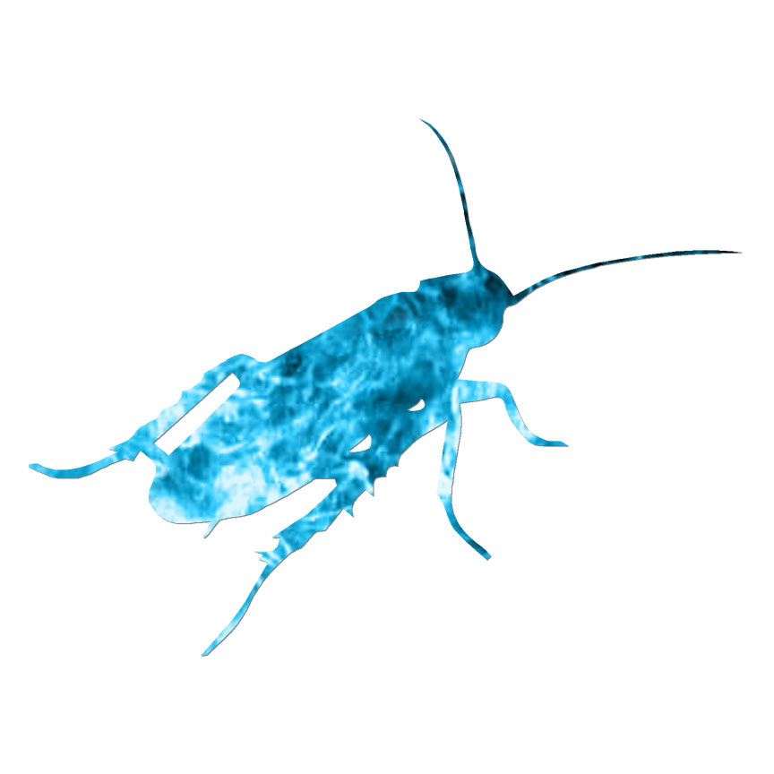 Cockroach Bug Insect, Vinyl Decal Sticker, 40 Patterns & 3 Sizes, #6777