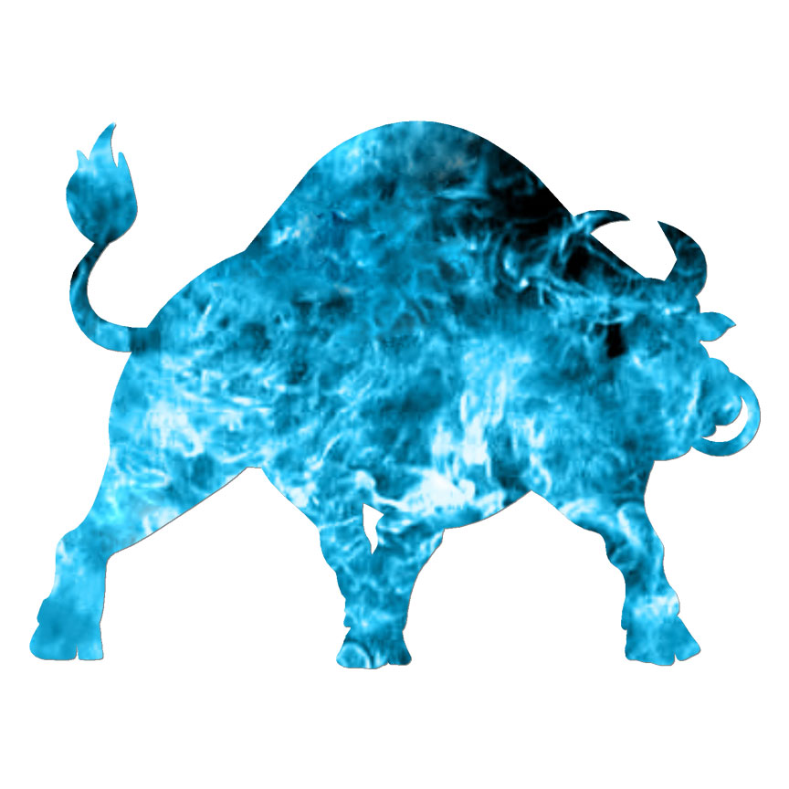 Angry Bull, Vinyl Decal Sticker, 40 Patterns & 3 Sizes, #6797