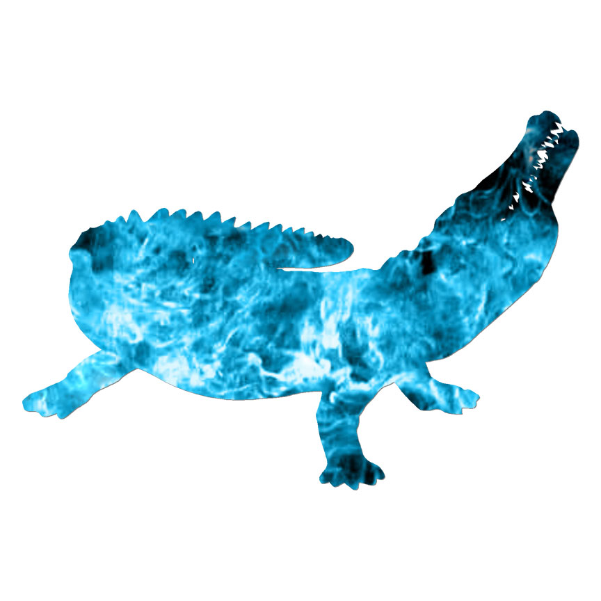 Crocodile Alligator Gator, Vinyl Decal Sticker, 40 Patterns & 3 Sizes, #6798