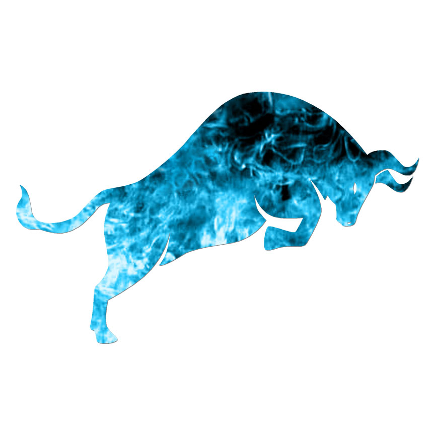 Bull, Vinyl Decal Sticker, 40 Patterns & 3 Sizes, #6812