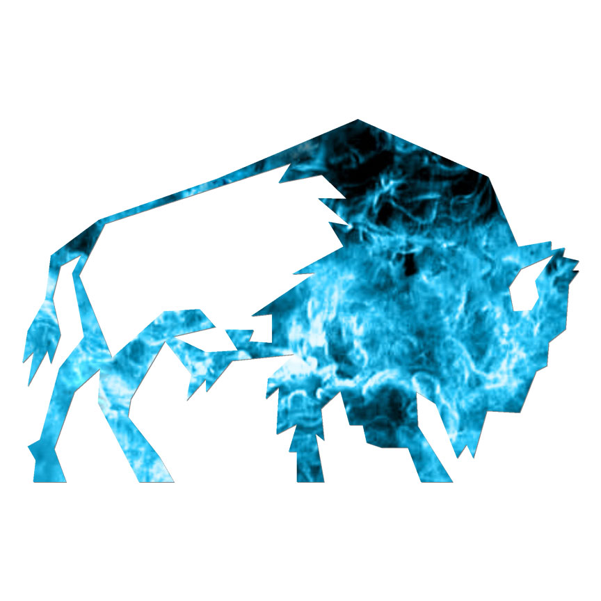 Bison Buffalo, Vinyl Decal Sticker, 40 Patterns & 3 Sizes, #6898
