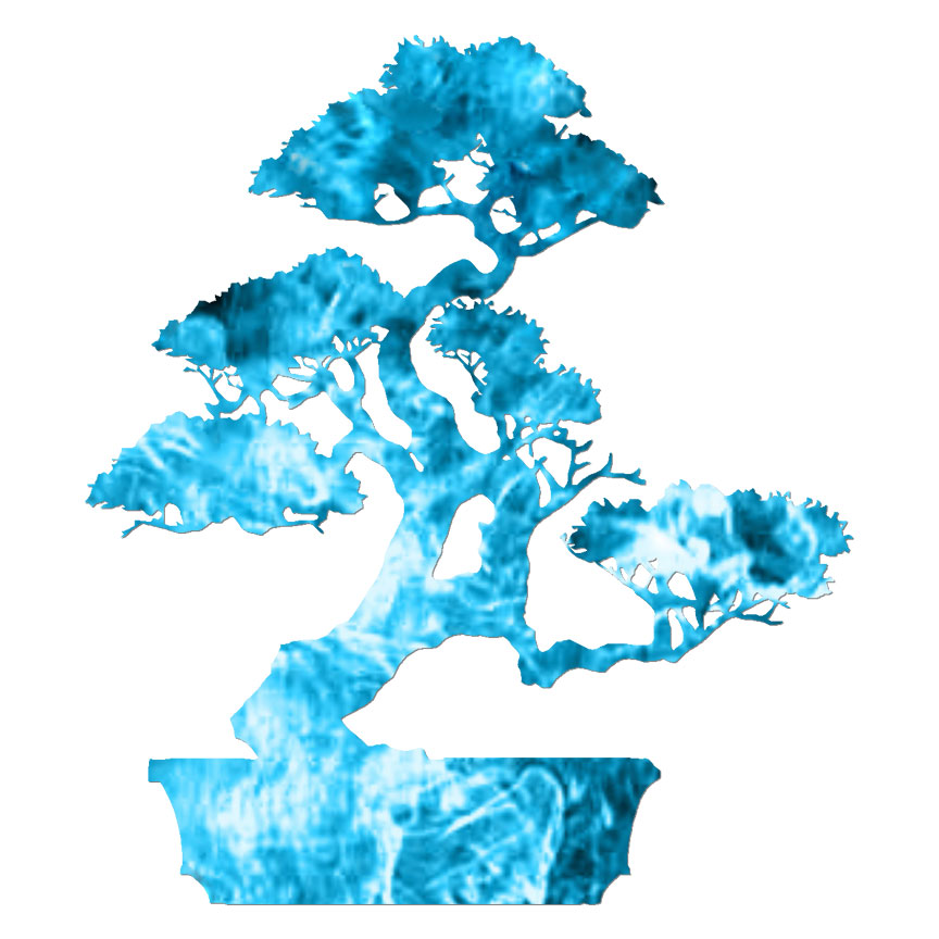 Bonzai Tree, Vinyl Decal Sticker, 40 Patterns & 3 Sizes, #6978
