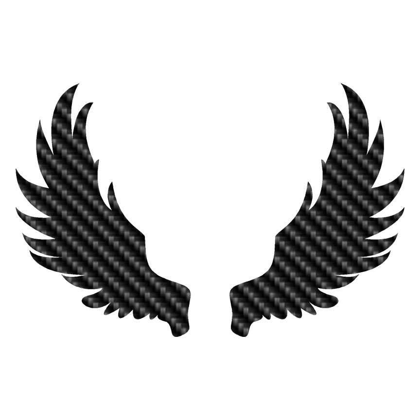 realistic devil wings png