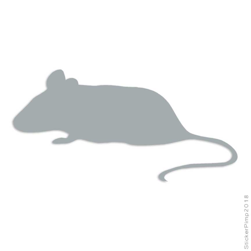 microsoft 1363 mouse driver for mac