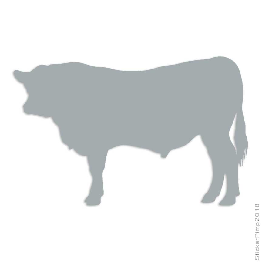 Adesivo Auto Divertente 'Got Angus?' | Sticker JDM In Argento 149x30 Mm | INDIGOS UG | Resistente Ai Raggi UV E Autolavaggio - 3