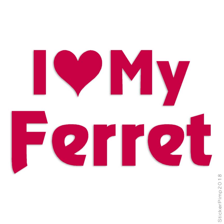 I Love My Ferret, Vinyl Decal Sticker, Multiple Colors & Sizes #1203 | eBay