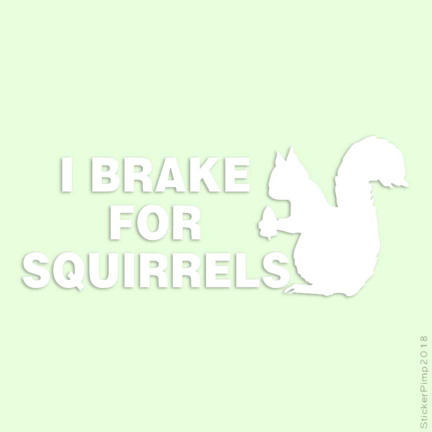 Size #2564 I Brake For Squirrels Decal Sticker Choose Pattern