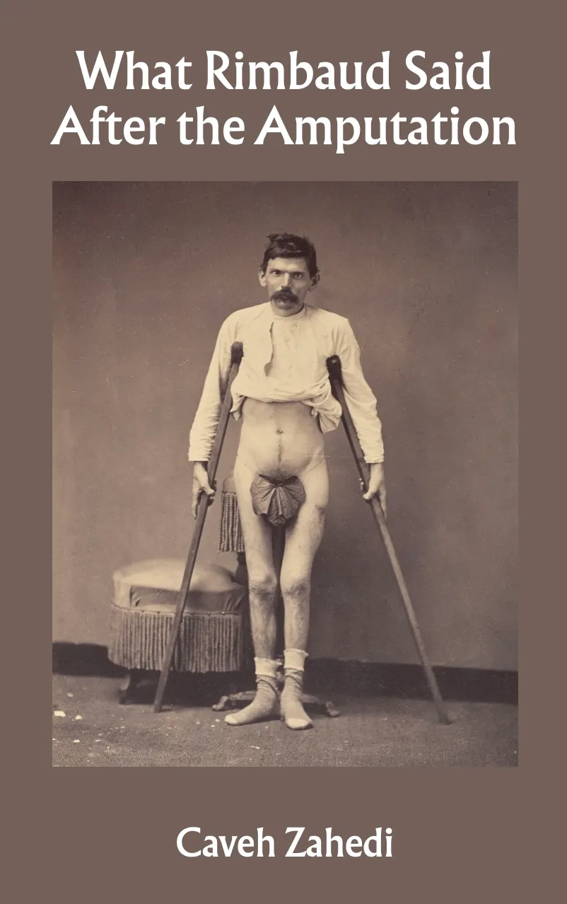 What Rimbaud Said After the Amputation by 