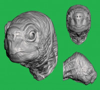 Turtle Head For Wall (Large) 3D model
