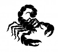 2D Scorpion 3D model