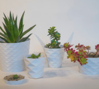 Parametric Flower Pots 3D model