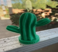Saguaro Cactus 3D model