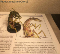 2nd Ed Ankheg 3D model
