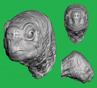 Turtle Head For Wall (Large) 3D model