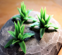 Tabletop plant Agave 3D model