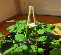 Plant Support Holder 3D model