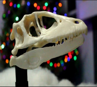 Animatronic Dinosaur Skull  3D model