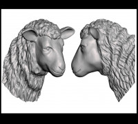 Sheep Head For Wall (Large) 3D model