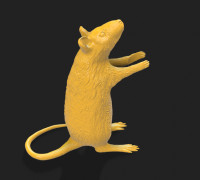 RAT LAMP 3D model