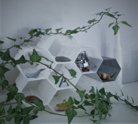 Modular Honeycomb Organizer 3D model