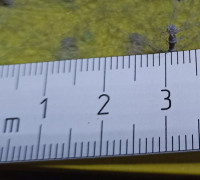 Scale modeling 1:72 and 1:35 ruller 3D model