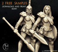 Spartan Warrior 3D model