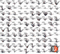 Various Base Addons 3D model