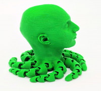 Saul Octopus 3D model