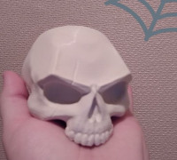 SKULL - SCAR 3D model