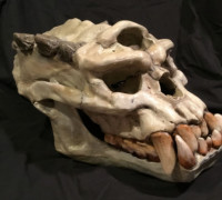Troll Skull 3D model