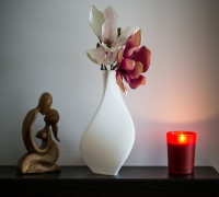 PLActron vase delta 3D model