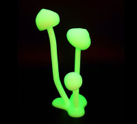 Glowing Mushrooms 3D model