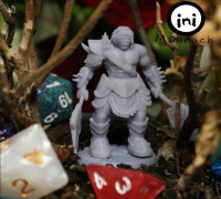 Half-Orc Barbarian 3D model