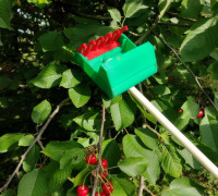 cherry and plum picker 3D model