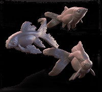 Goldfish Trio 2 3D model