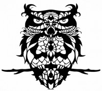 2D owl 3D model