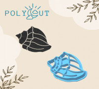 Seashells Clay Cutter 3D model
