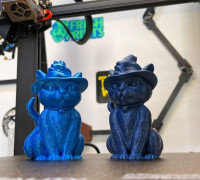 WiCat 3D model