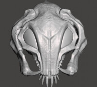 Alpha Predator Full Scale Bio Mask Helmet - STL for 3D printing HIGH-POLY 3D model