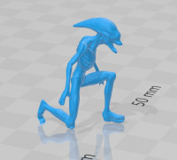 Deacon Alien 3D model