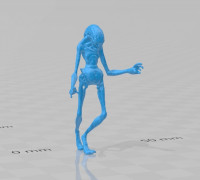 Newborn Alien 3D model