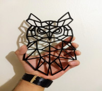 Owl 2D 3D model